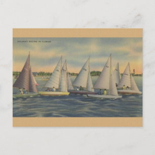 Vintag Florida Sailboat Racing Postkarte
