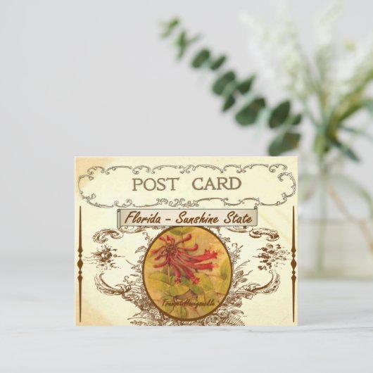 Vintag Florida Staat Blume Postkarte (Stehend Vorderseite)