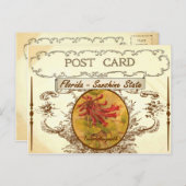 Vintag Florida Staat Blume Postkarte (Vorne/Hinten)