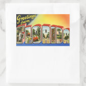 Vintag Florida Sticker (Tasche)