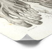 Vintag Foot Muscle Ligaments Anatomie Print 1716 Poster (Ecke)