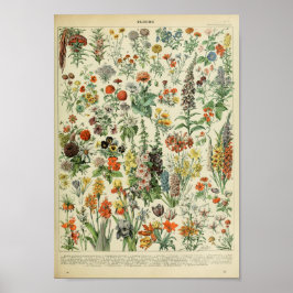 Vintag Forest Floral Blume Pflanze Poster