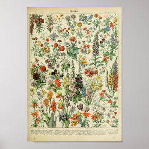 Vintag Forest Floral Blume Pflanze Poster