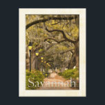 Vintag Forsyth Park - Savannah, GA Postkarte<br><div class="desc">Dies ist eine Reise-Fotografie im Vintagen Forsyth Park, Savannah, Georgia, mit einem Baumkronendach aus Eichen, bedeckt mit spanischem Moos, das über einen schmutzigen Weg hängt, der von leuchtenden Straßenlaternen gesäumt ist. Dieses Reise-Foto wurde digital verbessert, um ihm ein malerisches Aussehen zu verleihen. Das Bild wird durch ein grafisches Design aus...</div>