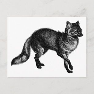 Vintag Fox Postkarte