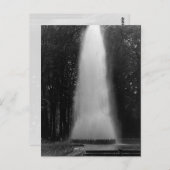 Vintag France Versailles palace obelisk fontain Postkarte (Vorne/Hinten)