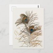 Vintag frohe Weihnachts-Pfauenfeathers Postkarte (Vorne/Hinten)