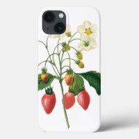 Vintag Frucht Berries Lebensmittel Erdbeeren von R