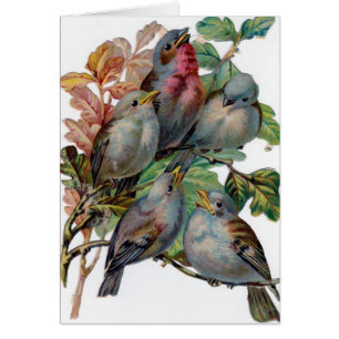 Vintag - fünf Lied-Vögel,