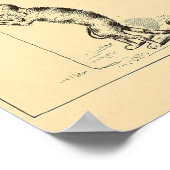 Vintag Funny Catnip Cat Poster (Ecke)