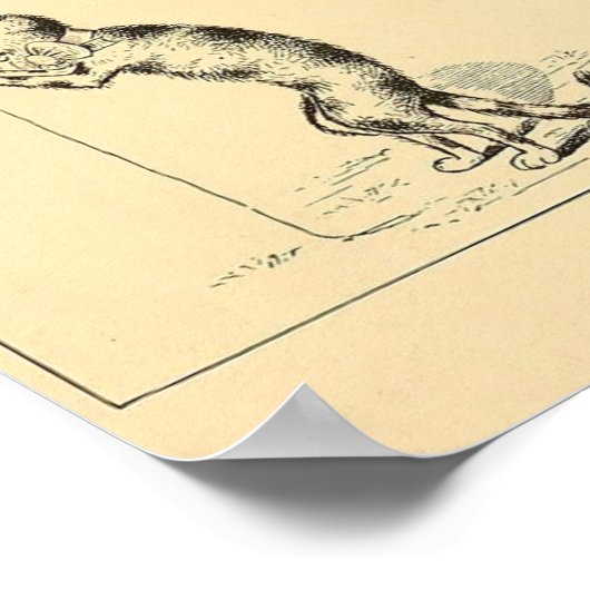 Vintag Funny Catnip Cat Poster (Ecke)