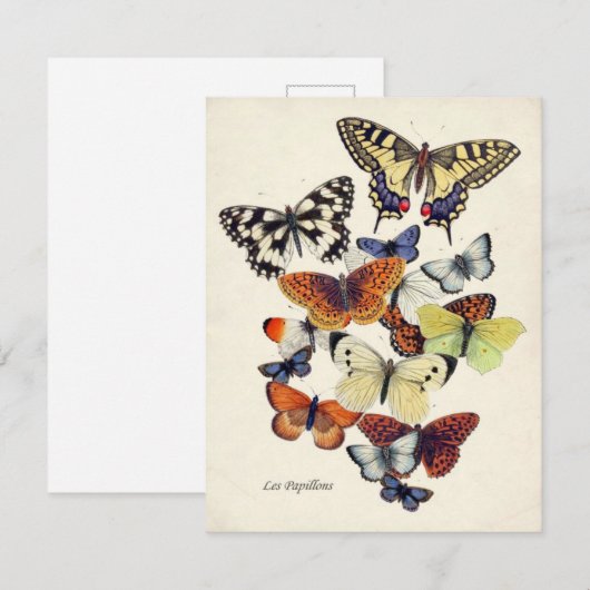 Vintag-Gartenschmetterkarte (Vorne/Hinten)