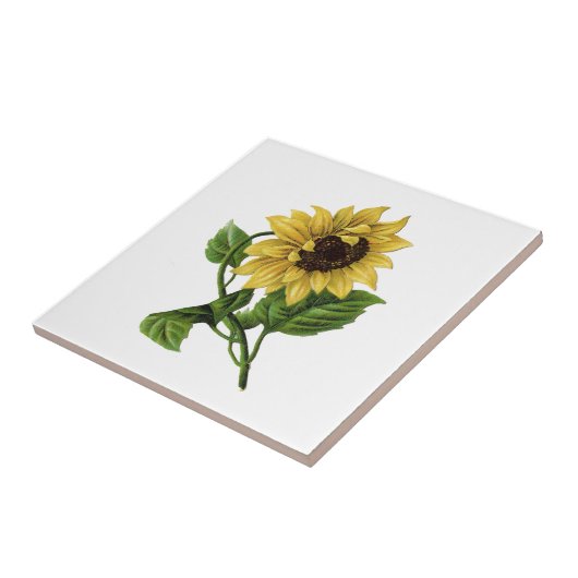 Vintag Gelbblüte Fliese (Seite)