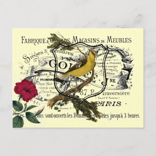 Vintag-Gelbbvogel-Ephemerenkollage Postkarte (Vorderseite)