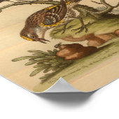 Vintag-gelbe gefleckte Printwerbung Poster (Ecke)