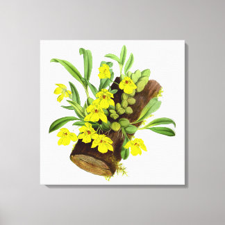 Vintag Gelbe Orchidee Blume Leinwanddruck