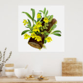 Vintag-Gelbe Orchideen-Blume Poster (Küche)
