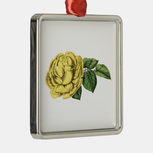 Vintag-Gelbe Rose Silbernes Ornament (Rechts)