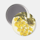 Vintag Gelbes Oncidium Orchid, tropische Blume Magnet (Vorderseite/Rückseite)
