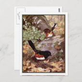 Vintag Gepunktet Towhey - Robert Bruce Horsfall Postkarte (Vorne/Hinten)