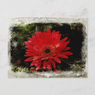 Vintag Gerber Daisy Postkarte