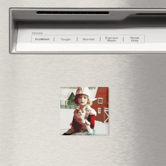 Vintag geretteter Barn Kitty Magnet (In Situ (Geschirrspüler))