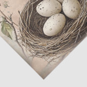 Vintag geschluckt und nass mit Eiern Seidenpapier (Detail)