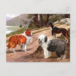 Vintag gestrichene Colliese Postkarte