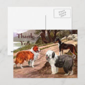 Vintag gestrichene Colliese Postkarte (Vorne/Hinten)