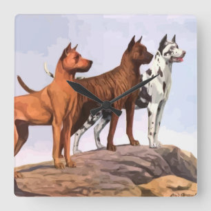 Vintag gestrichene Wall am Great Danes Square Quadratische Wanduhr