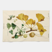 Vintag Ginkgo Biloba Botanische Illustration Geschirrtuch (Horizontal)