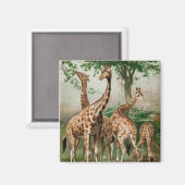 Vintag Giraffe Magnet (Vorderseite/Rückseite)