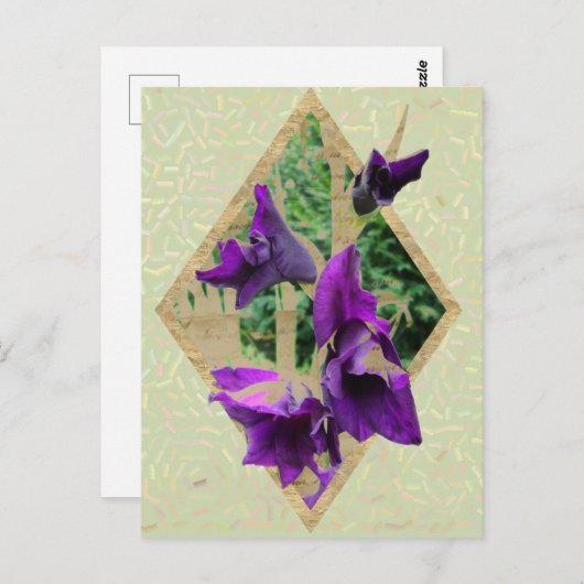 Vintag Gladiole Postkarte (Vorne/Hinten)
