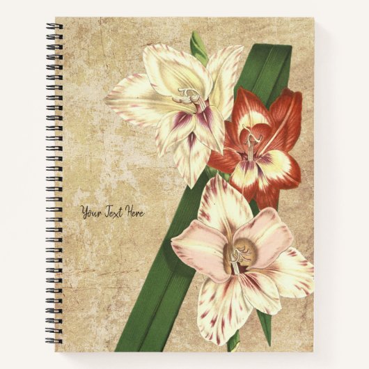 Vintag Gladioli-Notebook Notizblock (Vorderseite)