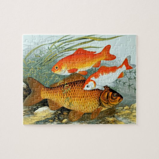 Vintag Golden Carp Koi Goldfish Puzzle (Horizontal)