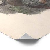 Vintag Golden Eagle Bird Poster (Ecke)