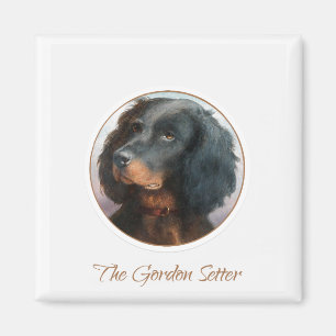 Vintag Gordon Setter Magnet