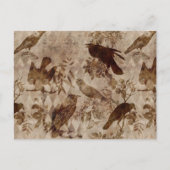 Vintag Goth Decoupage Crow Raven Postkarte (Vorderseite)