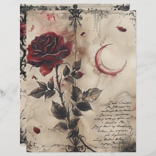 Vintag-Gothic-Junk-Journal (Vorne/Hinten)