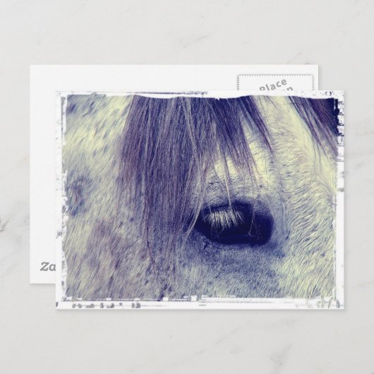 Vintag Grau Postkarte (Vorne/Hinten)