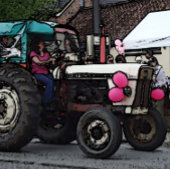 Vintag-Grauschnecke Puzzle