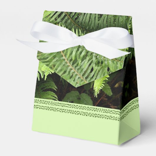 Vintag Green Fern Favor Geschenkschachtel (Vorderseite)