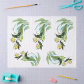 Vintag Green Sickle Bill Hummingbird Decoupage Seidenpapier (Basteln)