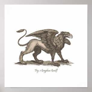 Vintag griffin (gryphus greiff) Abbildung. Poster