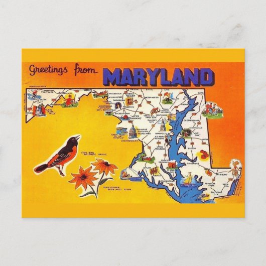 Vintag Gruß von Maryland Postkarte (Vorderseite)