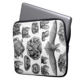 Vintag Haeckel Bats Laptopschutzhülle (Vorderseite Links)