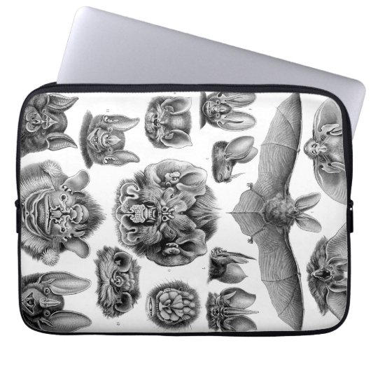 Vintag Haeckel Bats Laptopschutzhülle (Vorderseite)