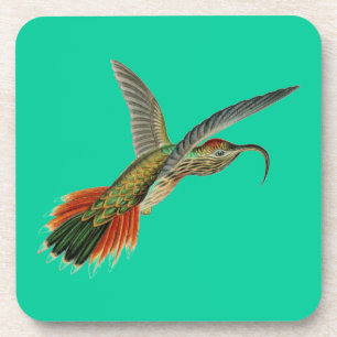 Vintag Haeckel Bird Untersetzer
