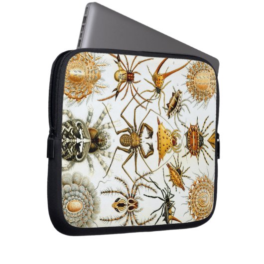 Vintag Haeckel Bugs & Spiders Laptopschutzhülle (Vorne Rechts)