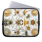 Vintag Haeckel Bugs & Spiders Laptopschutzhülle (Vorderseite)